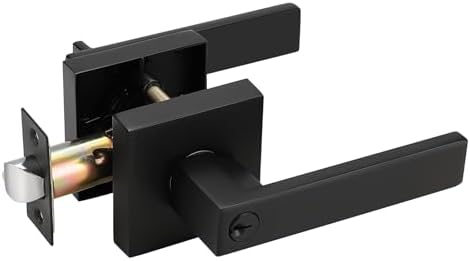 Stylish Entry Door Lever