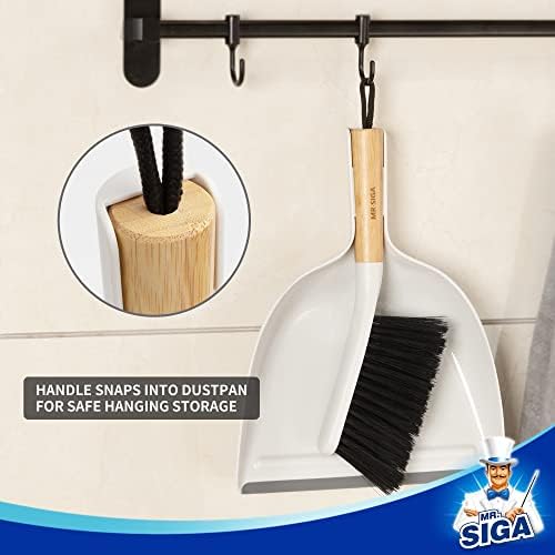 Dustpan and Brush Set
