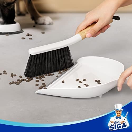 Dustpan and Brush Set