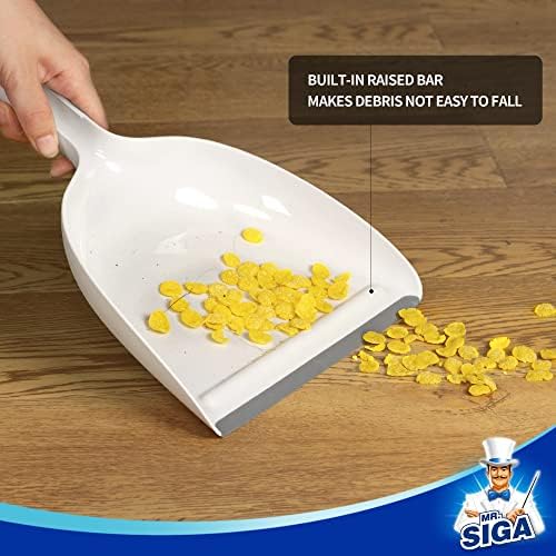 Dustpan and Brush Set