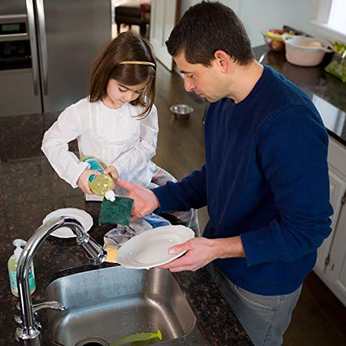 Better Life Lemon Mint Dish Soap
