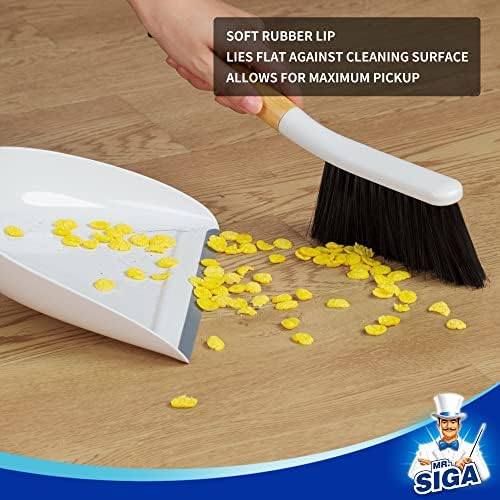 Dustpan and Brush Set