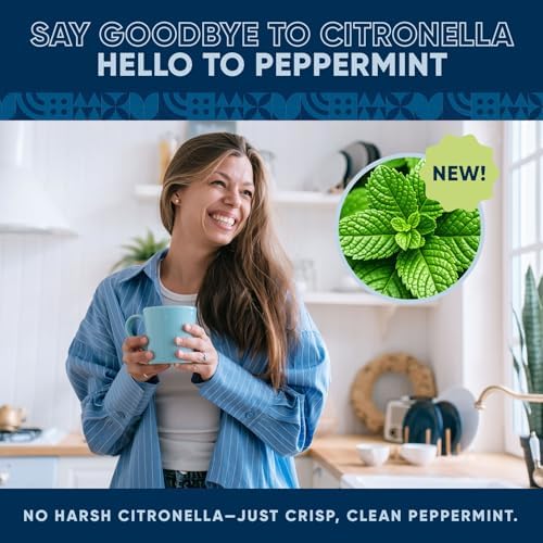 Eco-Friendly Fruit Fly Drain Treatment