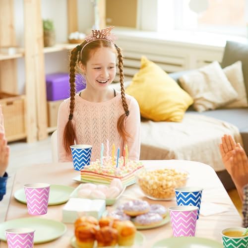 JOLLY PARTY 300Pack Disposable Cups