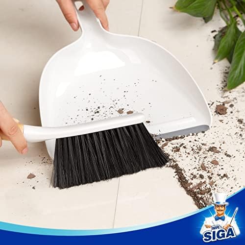Dustpan and Brush Set