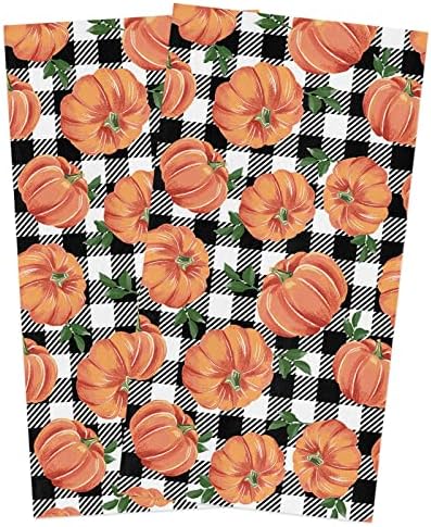 Pumpkin Orange 2-PC Dishcloth Set for Kitchen Cleaning